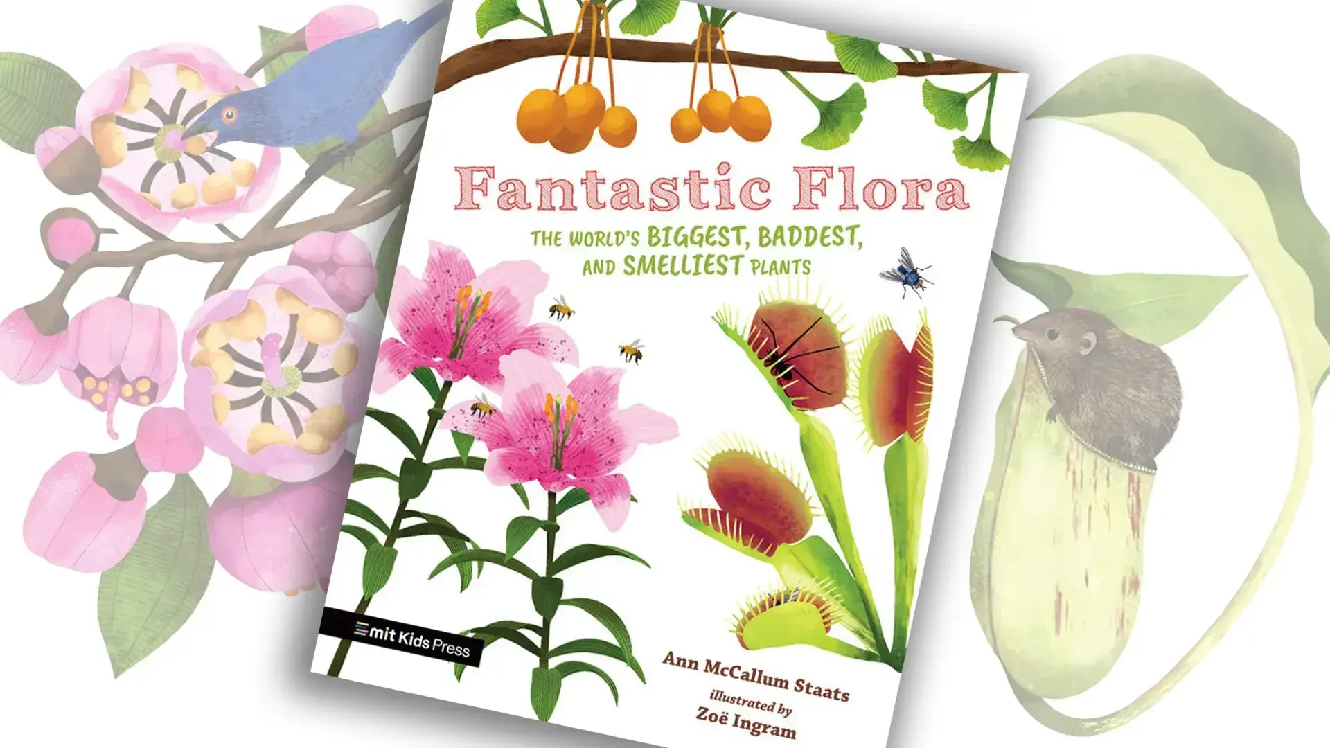 An alum's new book puts plants front and center, unearthing what's fascinating about them for the 8- to 12-year-old audience.
Book cover courtesy of Penguin Random House; illustrations by Zoe Ingram