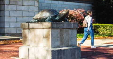 Testudo 11162020 SC 7117