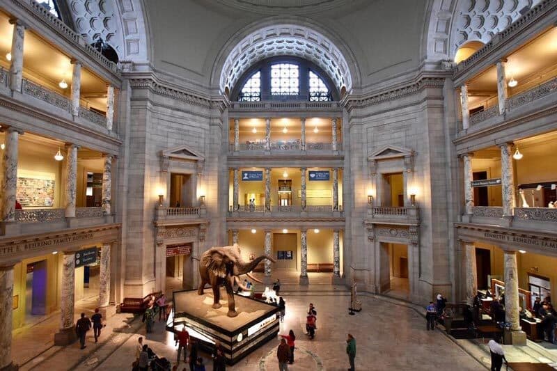 Rotunda of the Smithsonian National Museum of Natural History