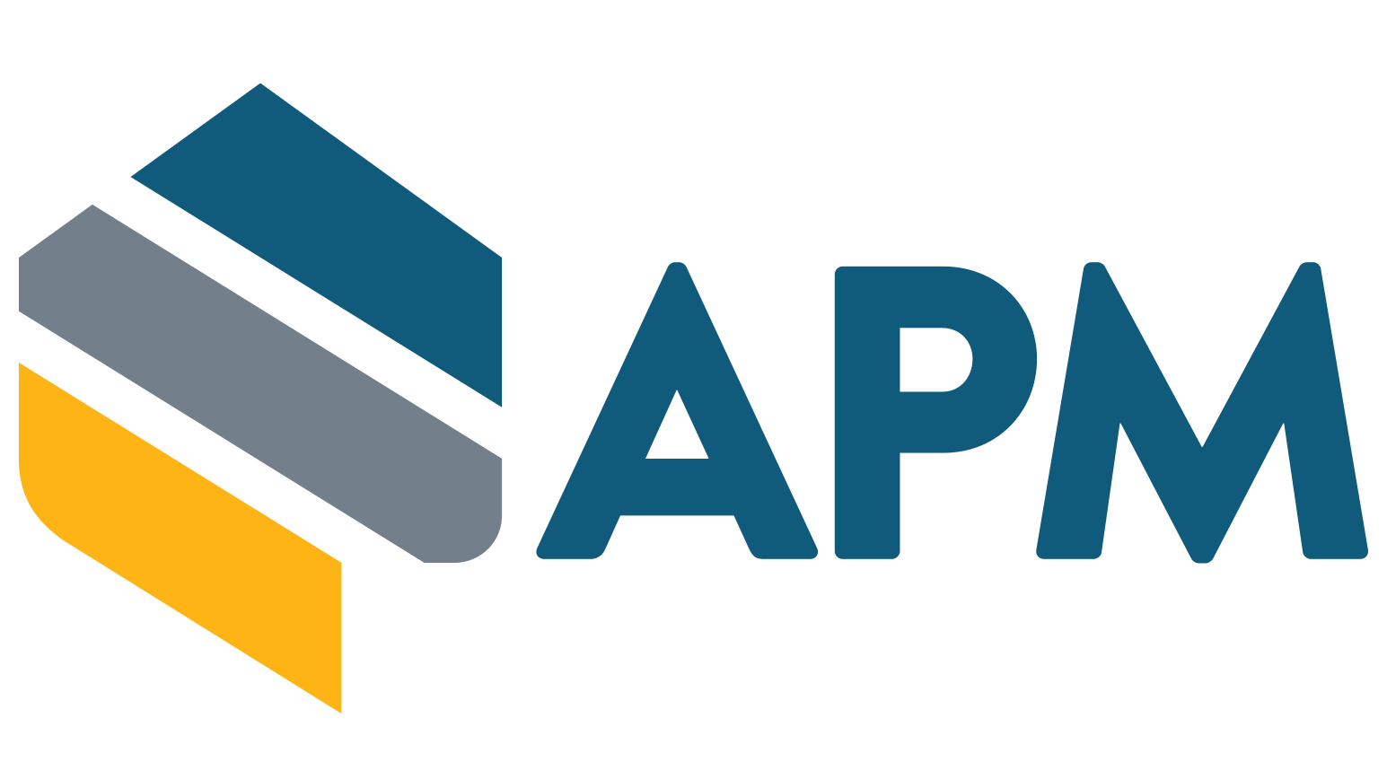 APM logo