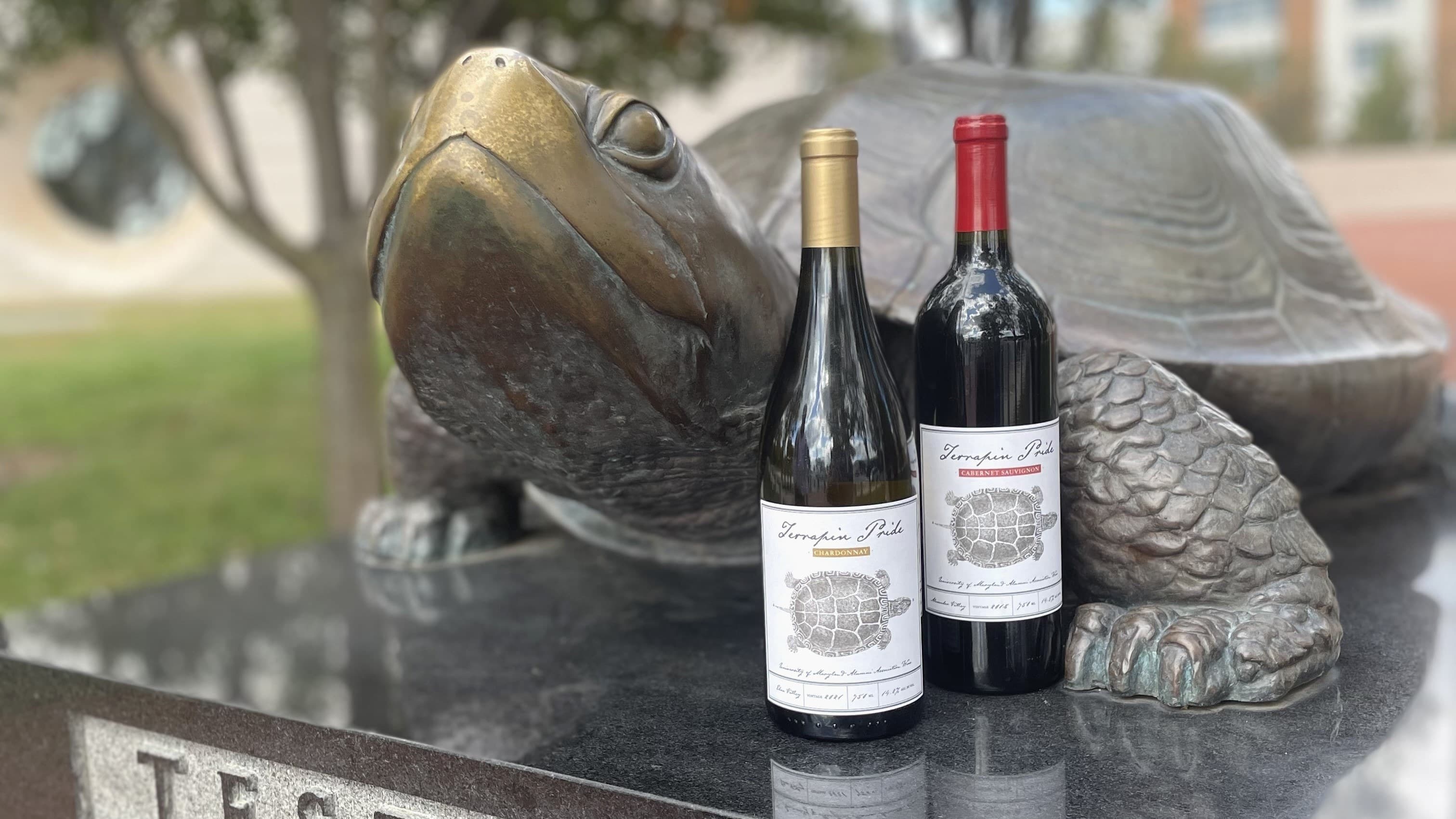 2022 Terrapin Pride Wine bottles in front of bronze Testudo.