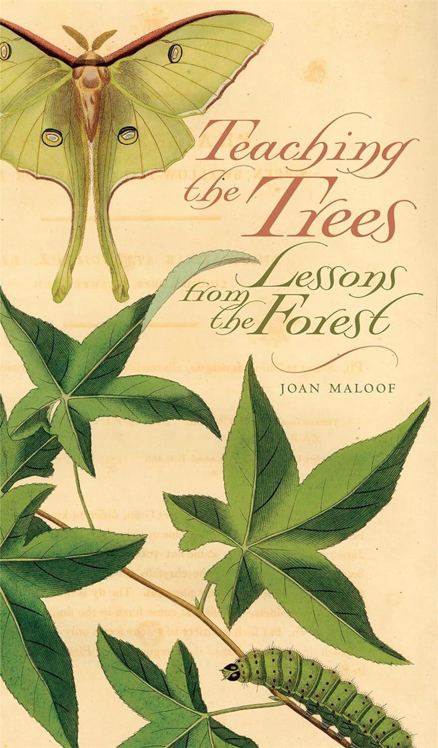 Teaching the Trees Lessons from the Forest
