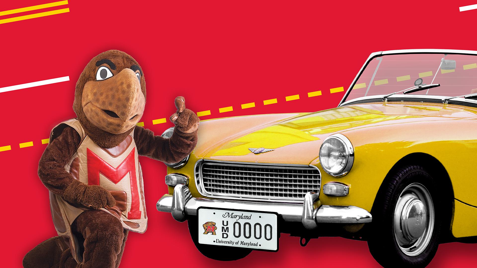 Testudo with a yellow car