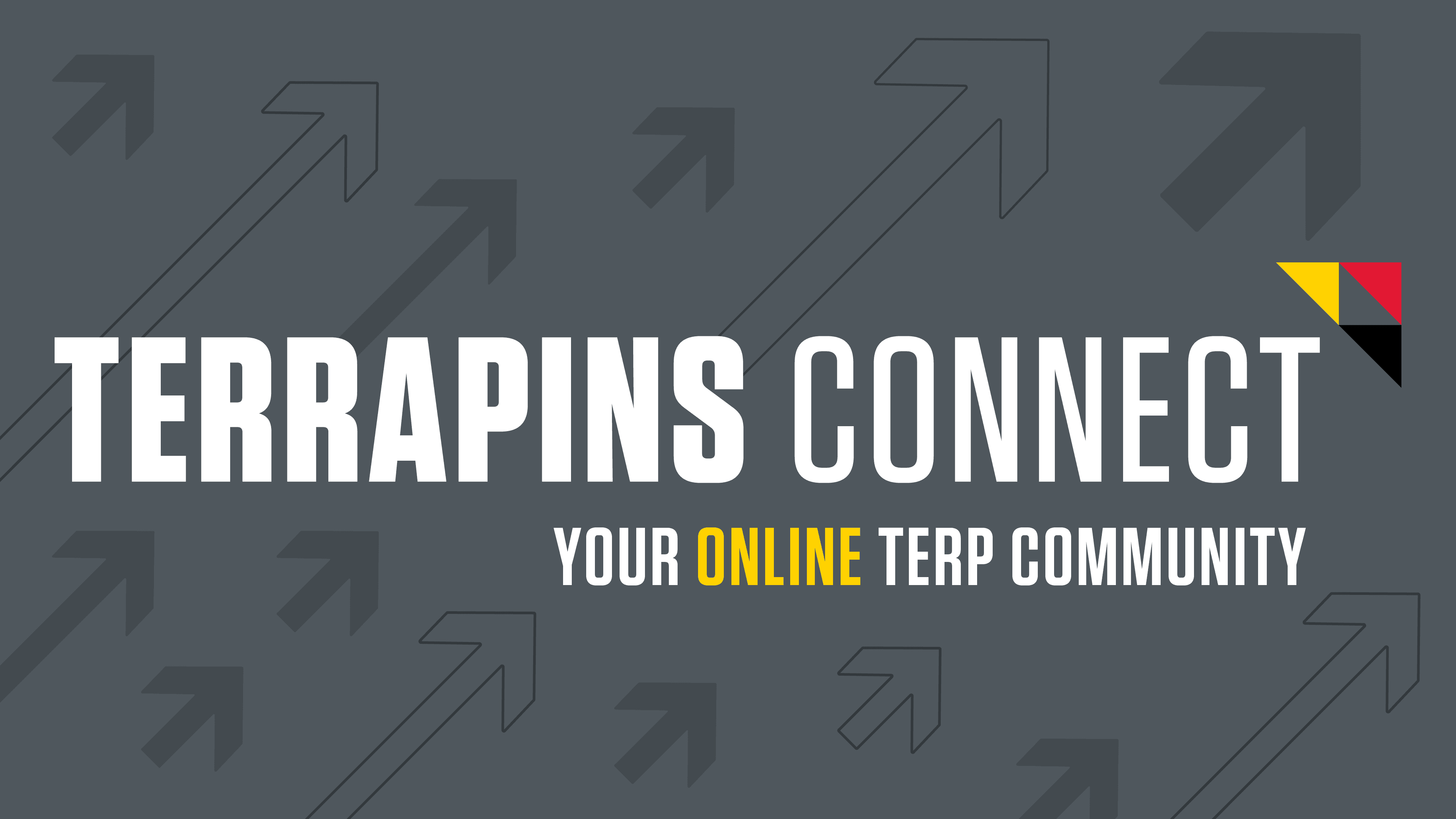 Terrapins Connect Logo