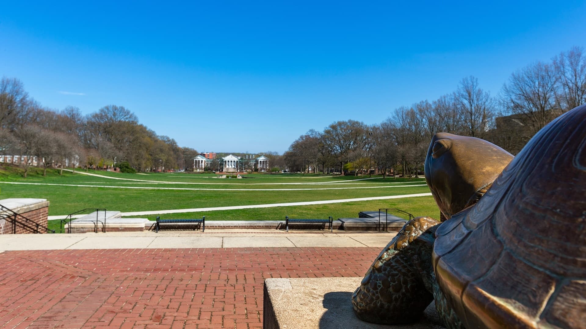 Testudo the statue looking out over McKeldin Mall toward the Aministration building on the other side. Clear blue Skies match a bright green lawn.