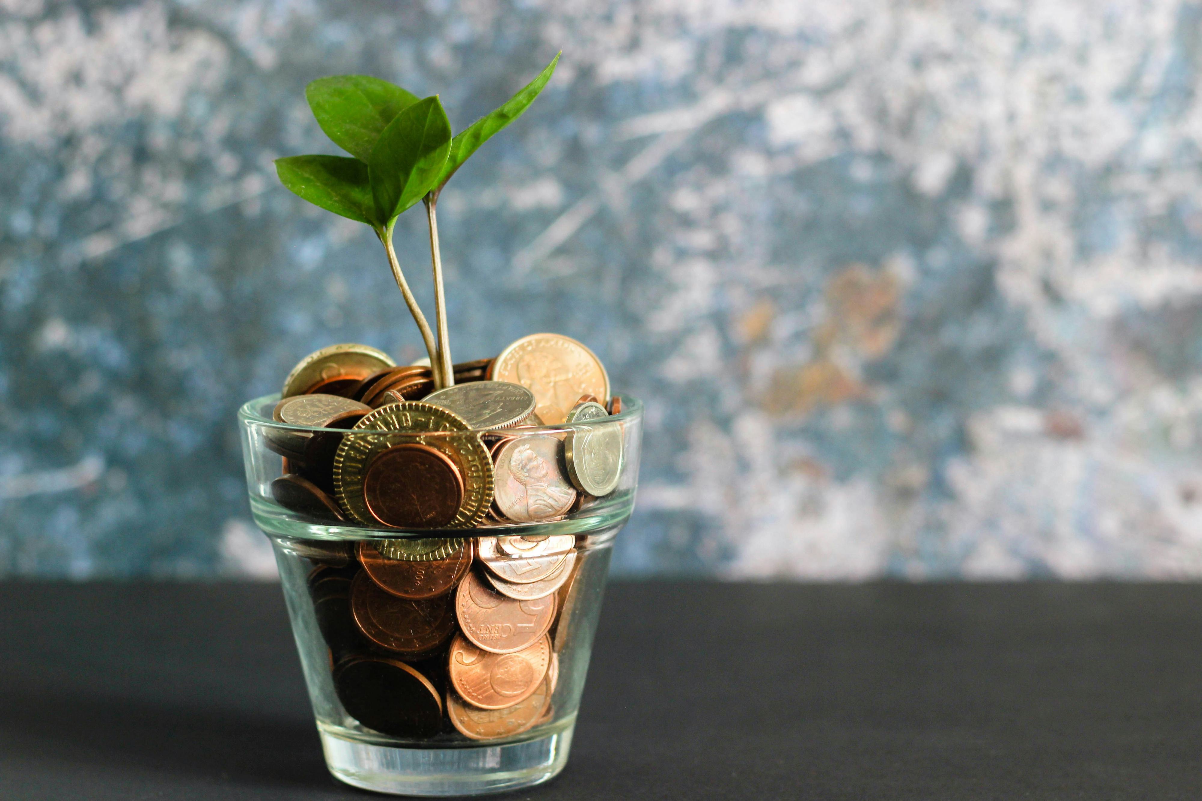 Cup of coins