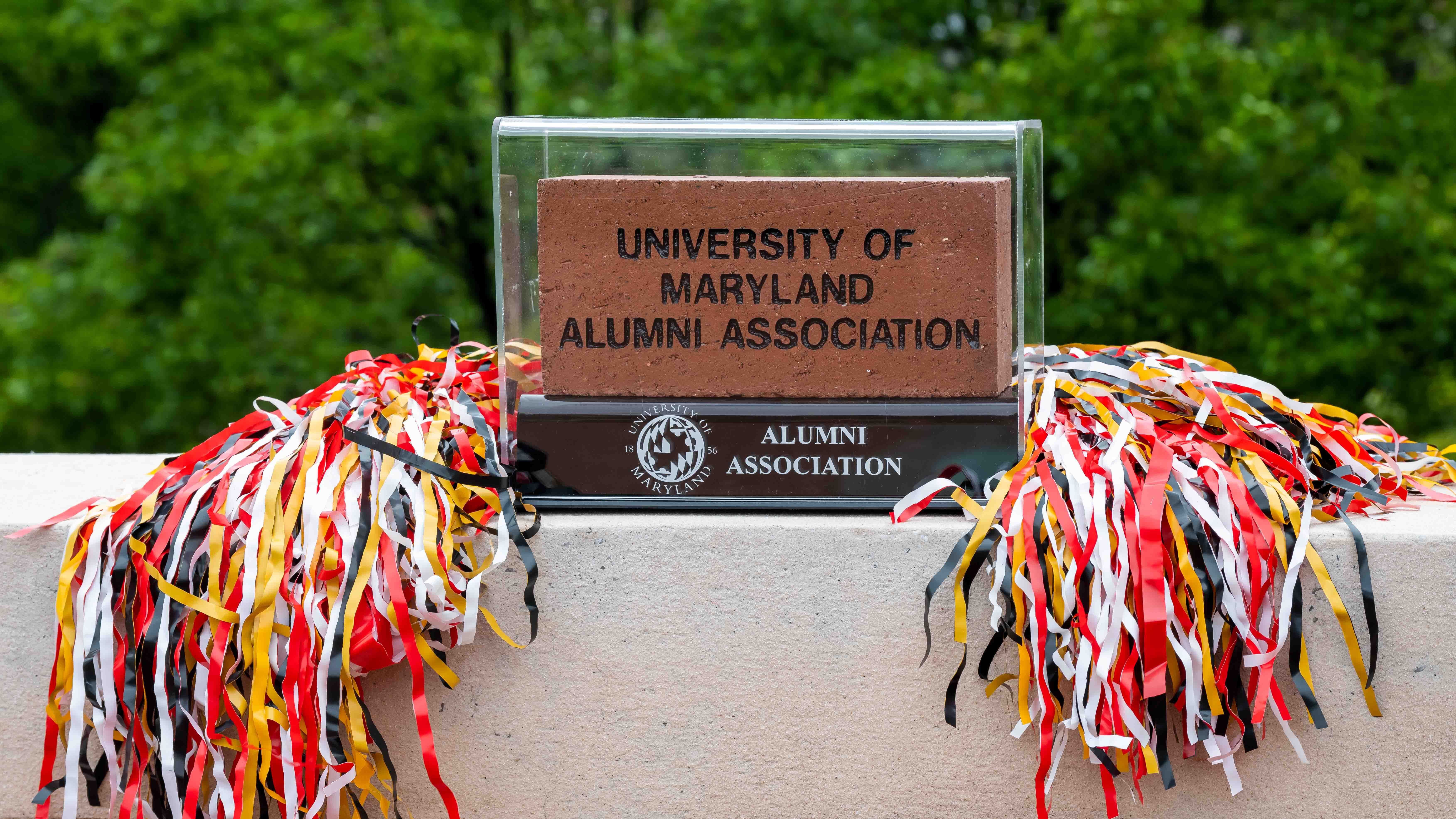 Replica personalized brick in a display case with Maryland-colored pom-poms on either side.