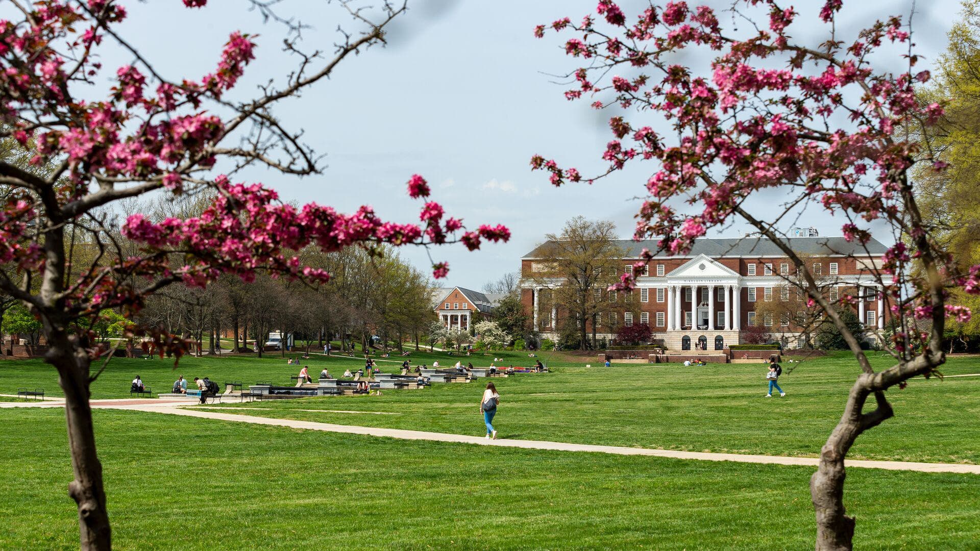 Students walking outdoor on campus in the spring